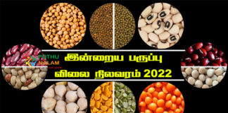 Paruppu Price List in Tamil 2022