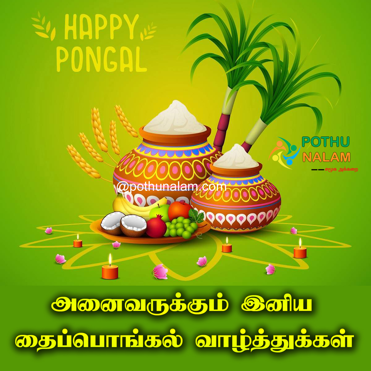 Pongal Wishes 2022 in Tamil
