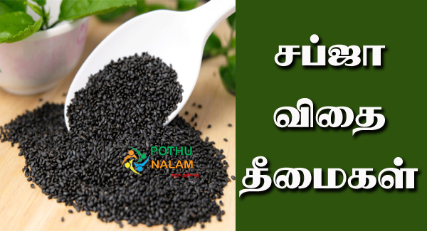 Sabja Seeds Disadvantages in Tamil