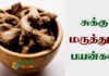 Sukku Benefits in Tamil
