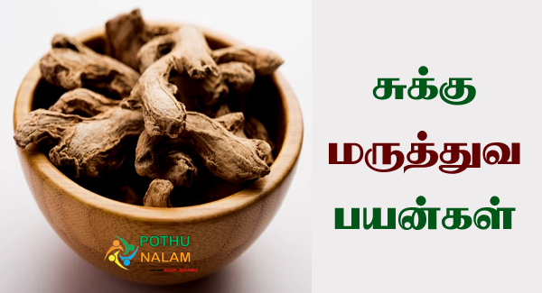 Sukku Benefits in Tamil