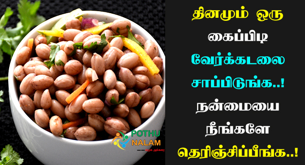 Verkadalai Benefits in Tamil