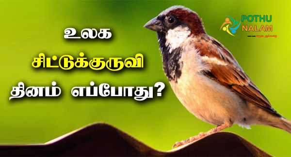 World Sparrow Day in Tamil