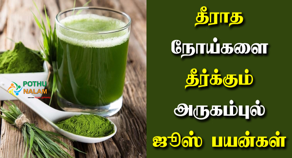 Arugampul Juice Benefits in Tamil
