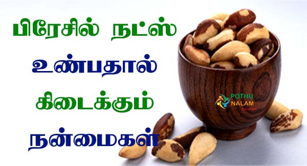 Brazil Nuts Benefits in Tamil