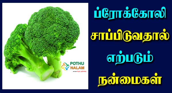 Broccoli Benefits in Tamil