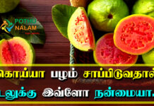 Guava Fruit Benefits in Tamil