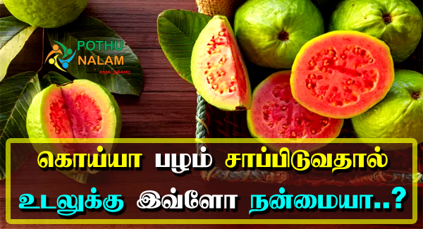 Guava Fruit Benefits in Tamil