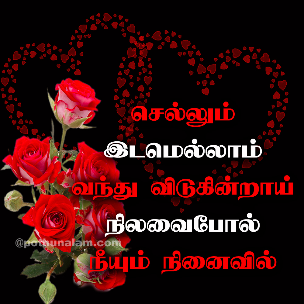 Kadhalar Dhinam Quotes in Tamil