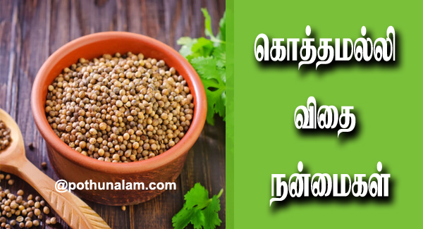 Koththamalli Benefits in Tamil