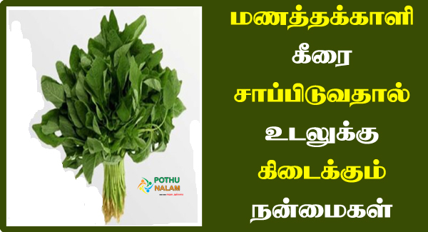 Manathakkali Keerai health Benefits in Tamil