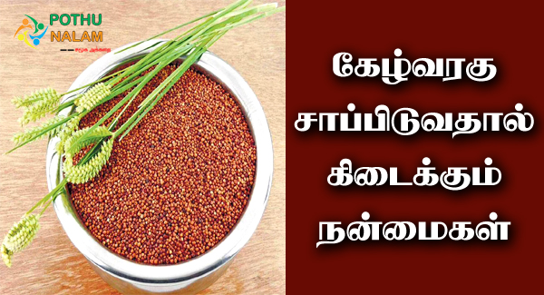 Ragi Benefits in Tamil