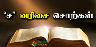 Sa Varisai Words in Tamil