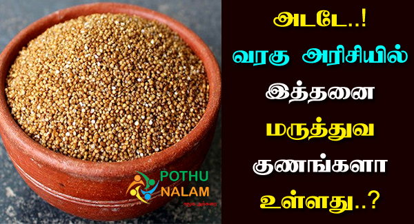 Varagu Rice Benefits in Tamil