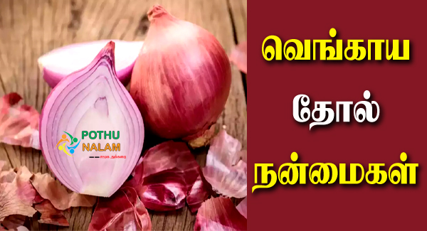 Benefits of Onion Peel in Tamil