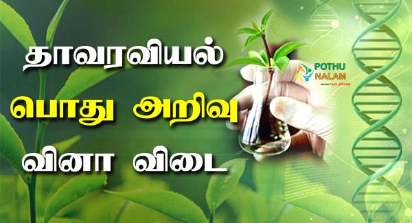 Botany GK Questions in Tamil