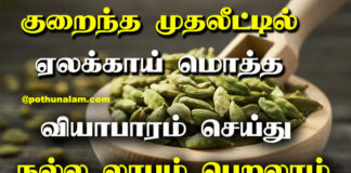 Cardamom Wholesale Business in Tamil