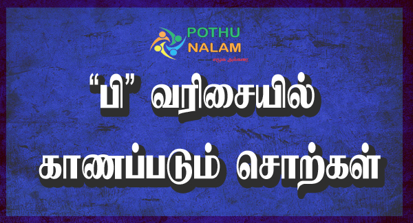 Pi Vaarththai in Tamil