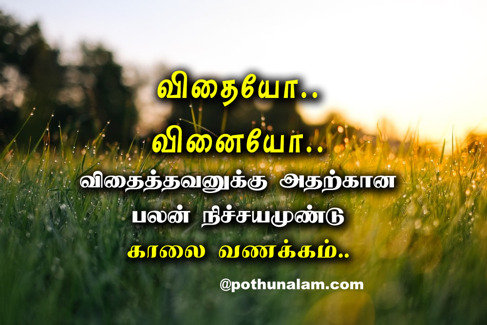 Positive Good Morning in Tamil