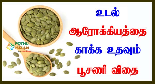 Pumpkin Seeds Benefits in Tamil