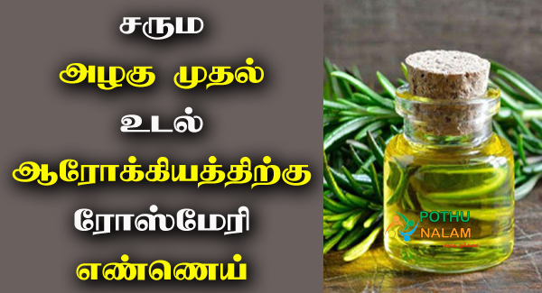 Rosemary Oil Benefits in Tamil