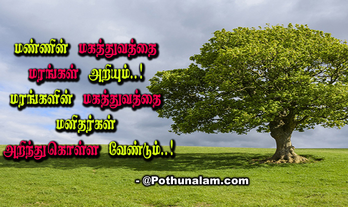 Tree Kavithai in Tamil