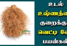 Vetiver Benefits in Tamil
