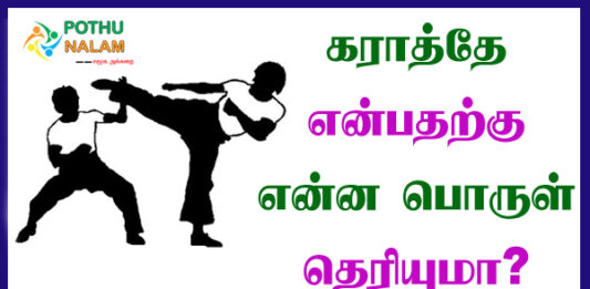Karate Porul in Tamil