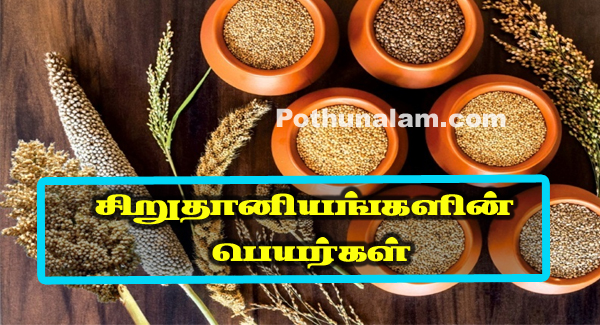 Siruthaniyangal Names in Tamil