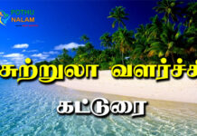 Sutrula Valarchi Katturai in Tamil