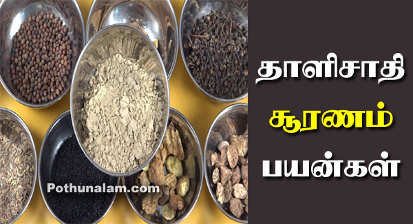 Thalisathi Sooranam Uses in Tamil