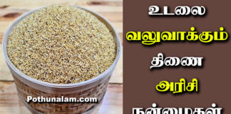 Thinai Rice Benefits in Tamil