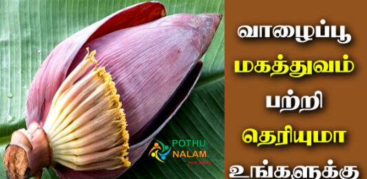 Valaipoo Uses in Tamil
