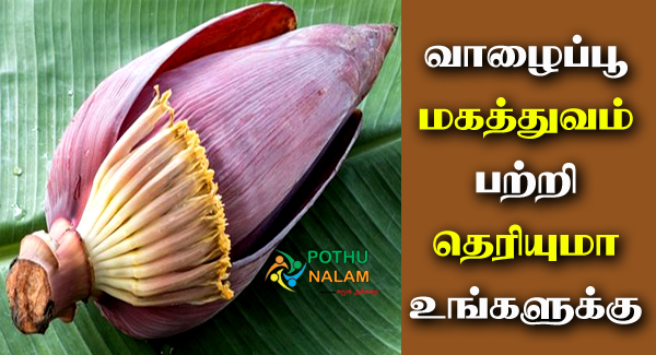 Valaipoo Uses in Tamil