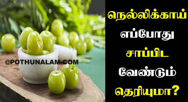 nellikai benefits in tamil