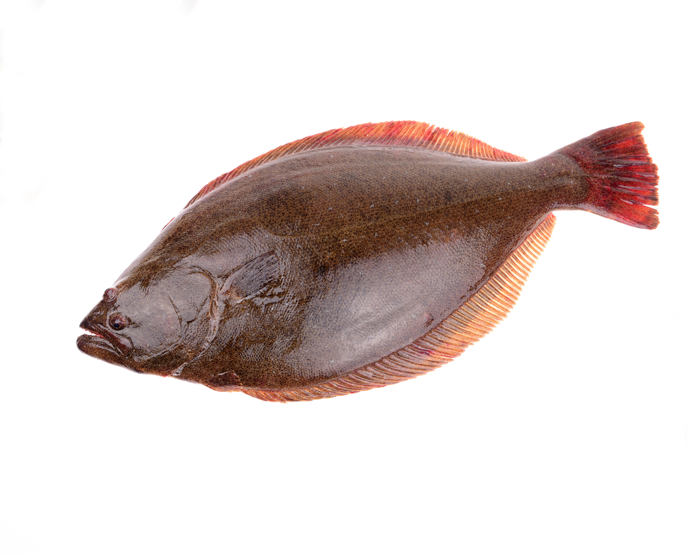  omega 3 fish names in tamil