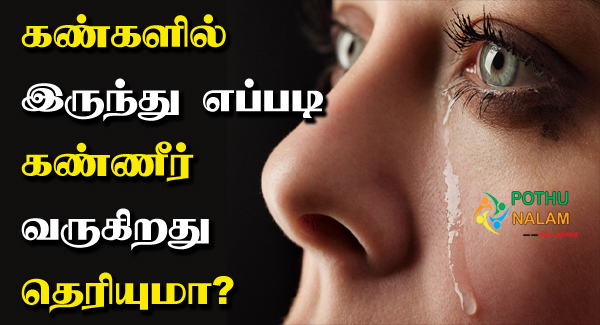 How Tears Come From Eyes in Tamil