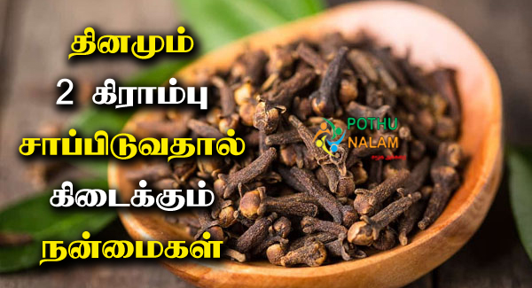 Krambu Benefits in Tamil