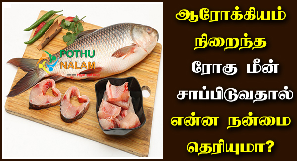 Rohu Fish Benefits in Tamil