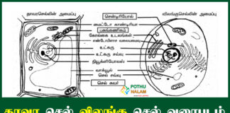 Thavara Cell Image in Tamil