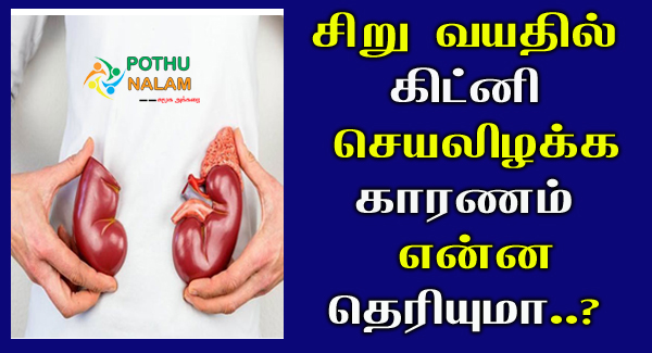 Kidney Failure Reasons in Tamil