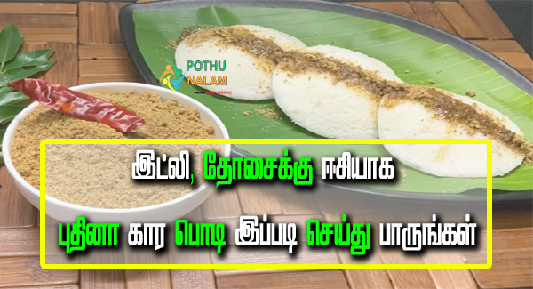 Pudina Karam Podi in Tamil