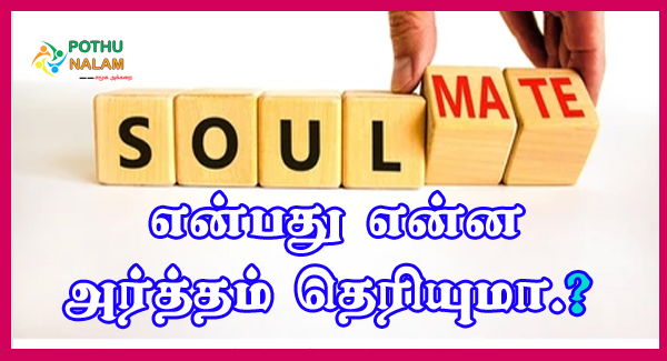 Soul Mate Meaning in Tamil
