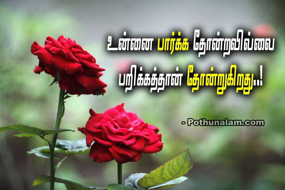 Tamil Quotes in One Line