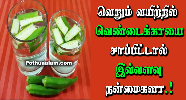 Vendakkai Water Benefits in Tamil