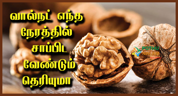 Walnut Time to Eat in Tamil