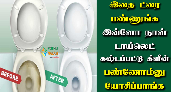 Bathroom Toilet Cleaning in Tamil 