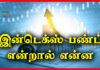 Index Fund Meaning in Tamil