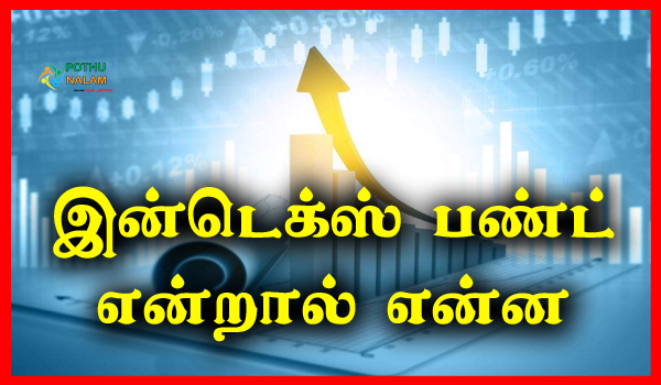 Index Fund Meaning in Tamil
