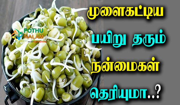 Mulaikattiya pachai payaru benefits in tamil